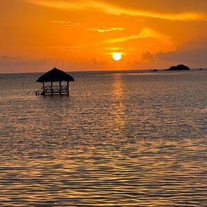 Meet your Posher, Janine